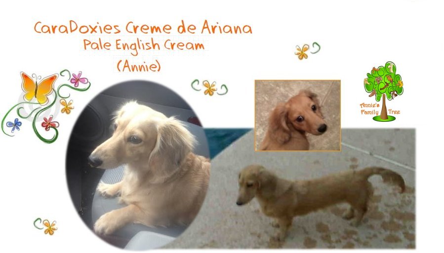 Annie