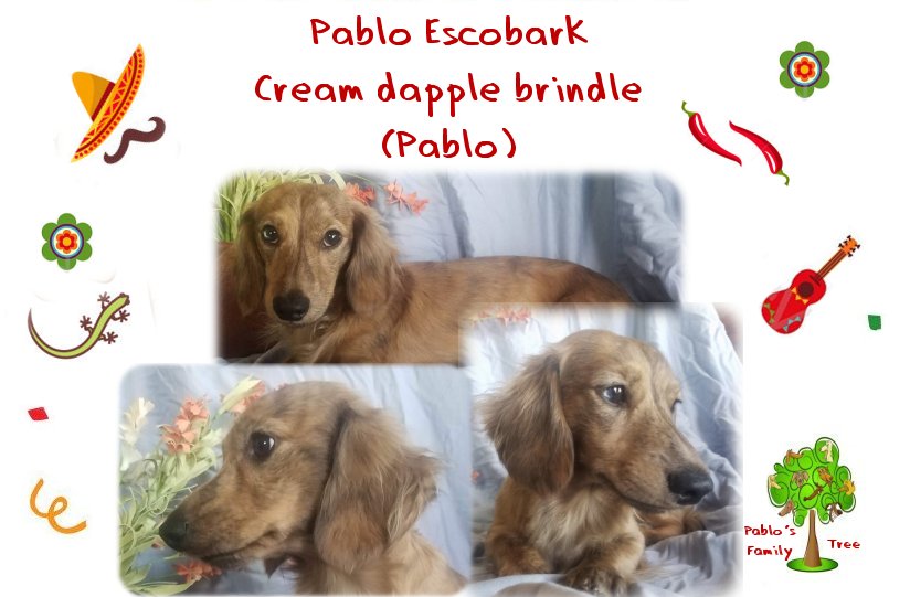 Pablo